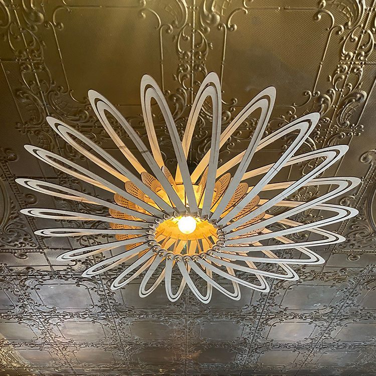 woody pulsating sun
